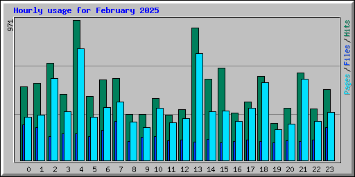 Hourly usage for February 2025