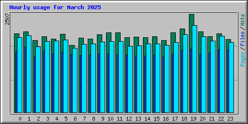 Hourly usage for March 2025