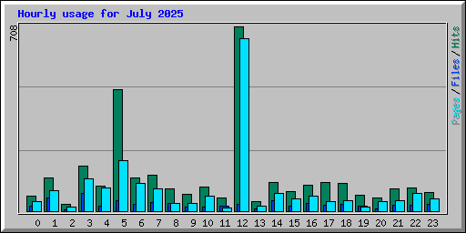 Hourly usage for July 2025