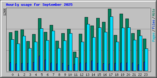 Hourly usage for September 2025