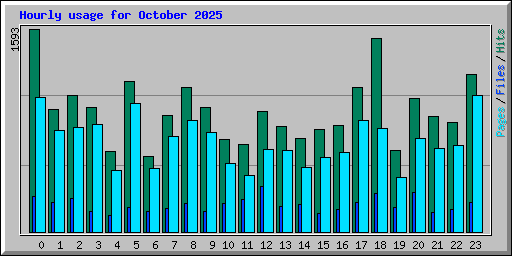 Hourly usage for October 2025