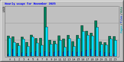 Hourly usage for November 2025