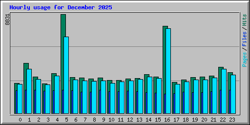 Hourly usage for December 2025