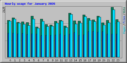 Hourly usage for January 2026